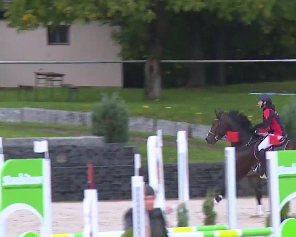 Reitturnier Frankenhof-Sonnefeld/Ofr. 2022