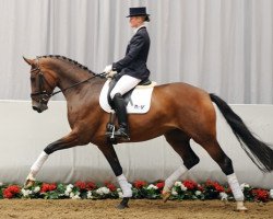 dressage horse Biscaya (Westfale, 2008, from Beltoni)