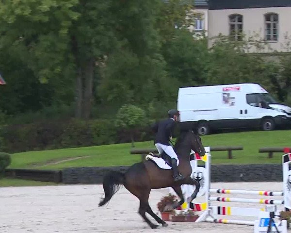 Reitturnier Frankenhof-Sonnefeld/Ofr. 2022