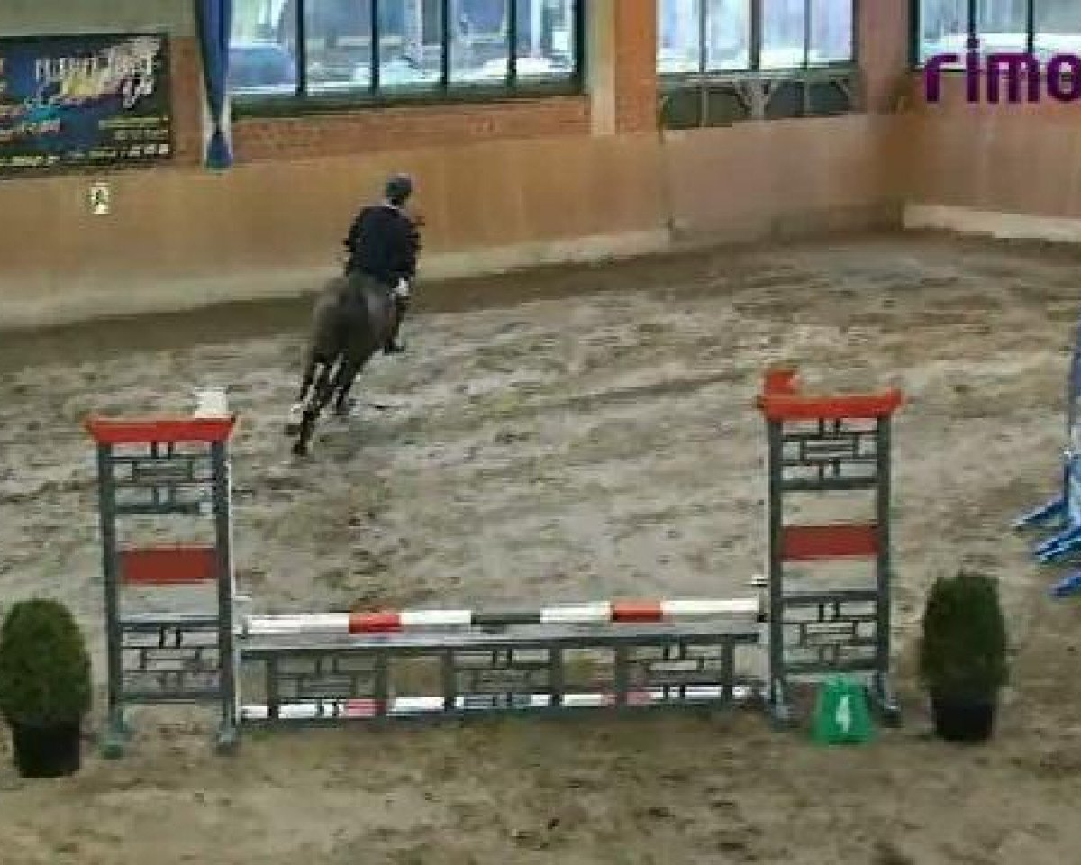 jumper Magic Mathilda (Westphalian, 2007, from Montendro)