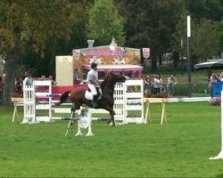 stallion Montezuma (Hanoverian, 1993, from Mont du Cantal AA)