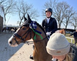 dressage horse Rockebi S (German Riding Pony, 2016, from Proud Rocketti)