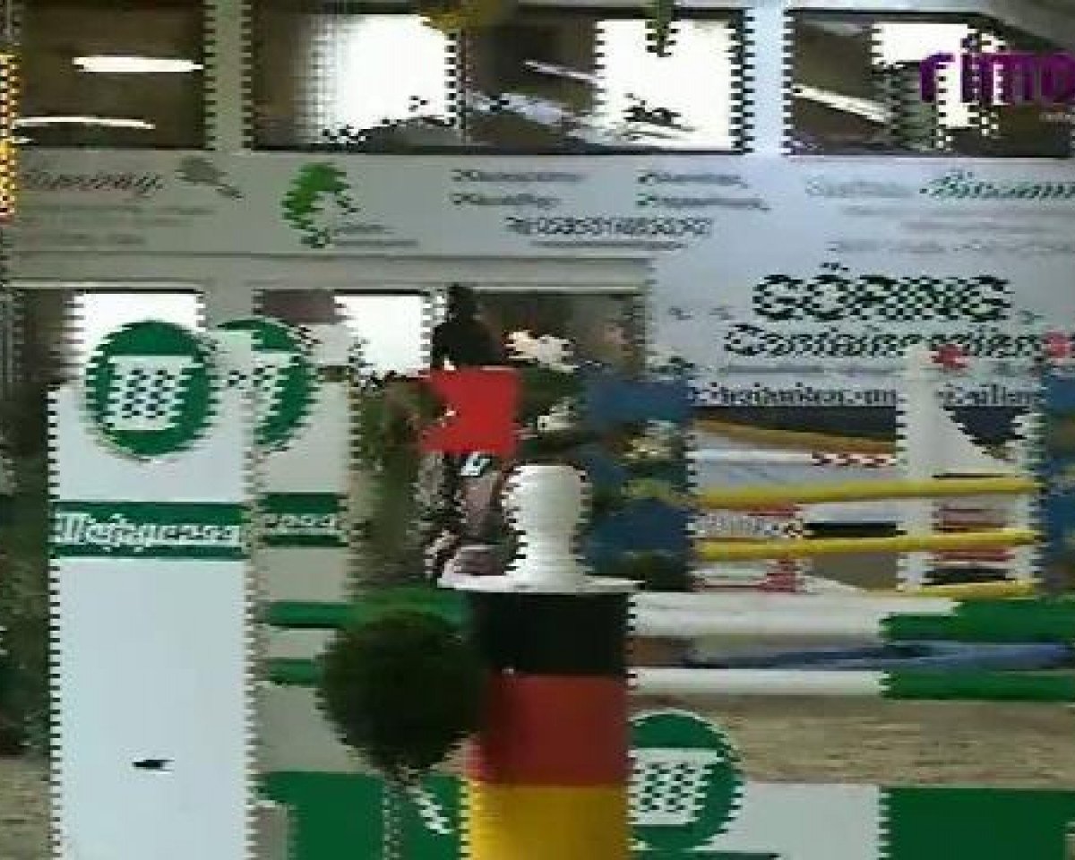 Springpferd Gina 1634 (Westfale, 2004, von Giradelli)