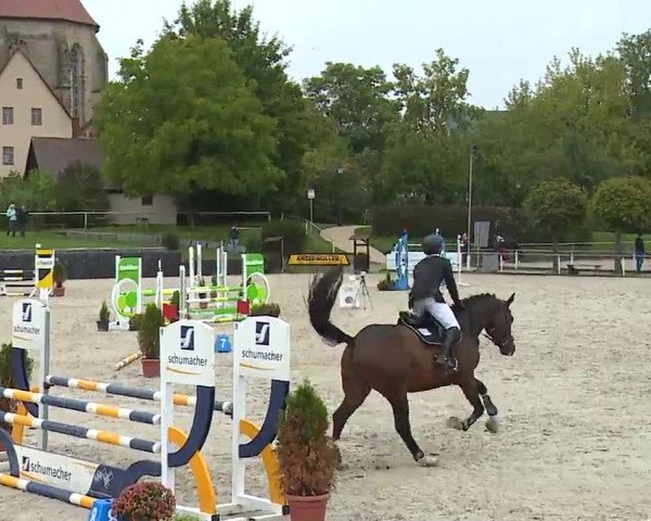 Reitturnier Frankenhof-Sonnefeld/Ofr. 2022