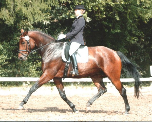 broodmare Ginella S (Bavarian, 1996, from La Piko)