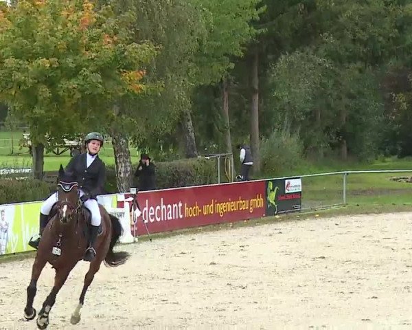 Reitturnier Frankenhof-Sonnefeld/Ofr. 2022