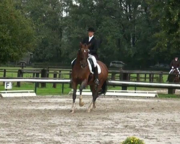 horse Flannigan (Westphalian, 1999, from Florestan I)