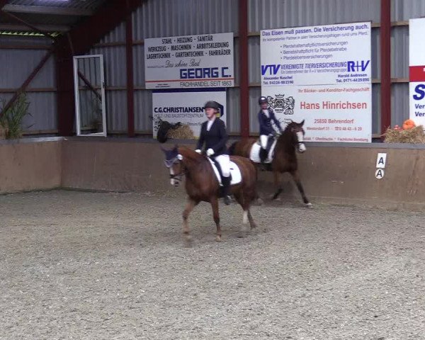 Jugendturnier Indoors Behrendorf 2022