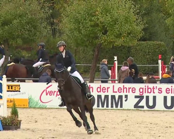 Reitturnier Frankenhof-Sonnefeld/Ofr. 2022