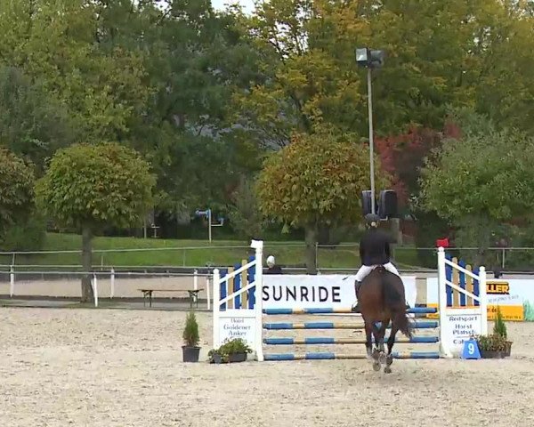Reitturnier Frankenhof-Sonnefeld/Ofr. 2022