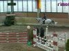 jumper Capo 19 (Croatian Warmblood, 2006, from Colbert GTI)