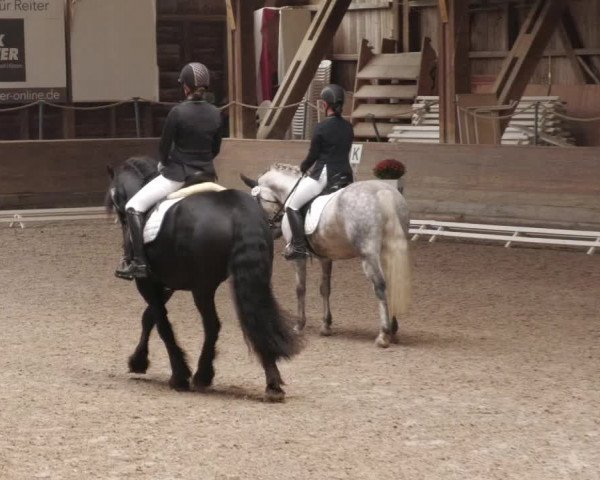 Reitturnier Böblingen 2022