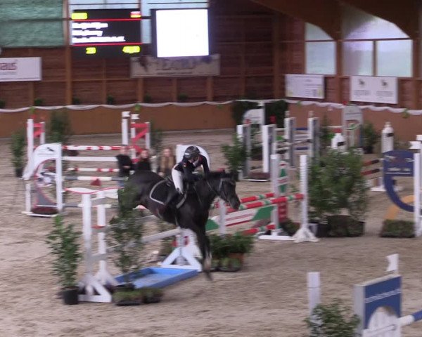 4. Ponyspringturnier Xanten - Reitanlage Miß 2022