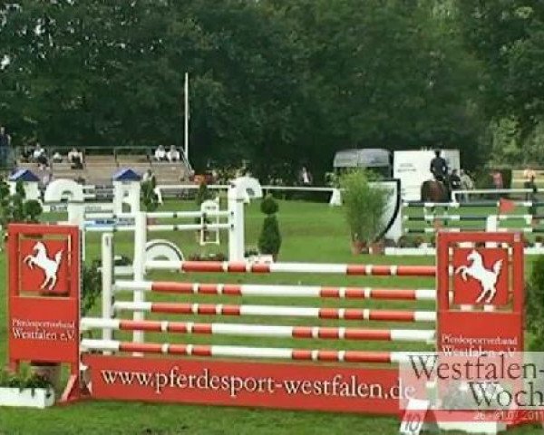 jumper Prince of Illyria (Holsteiner, 2006, from Cassiano)