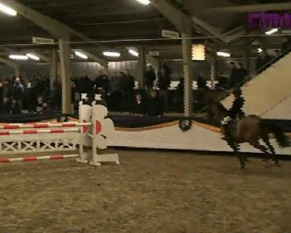 jumper Diabolo 443 (German Riding Pony, 2001, from FS Don't Worry)
