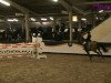 jumper Diabolo 443 (German Riding Pony, 2001, from FS Don't Worry)