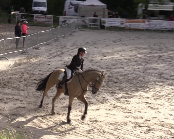 1. Mitteldeutsches Championat - Prussendorf 2022