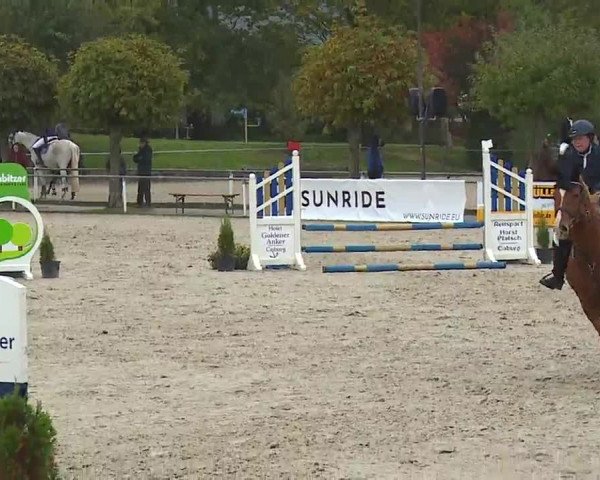 Reitturnier Frankenhof-Sonnefeld/Ofr. 2022