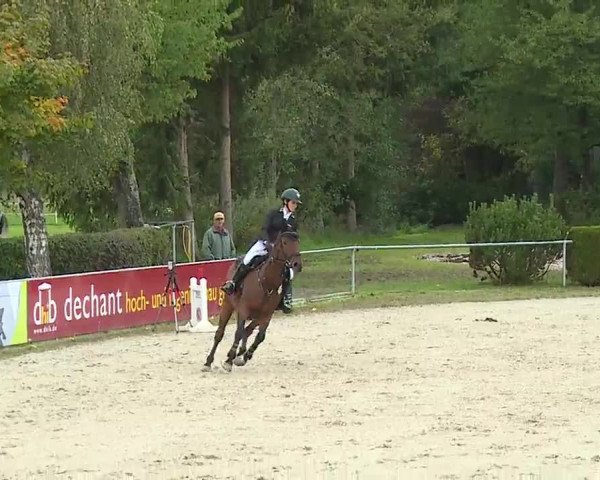Reitturnier Frankenhof-Sonnefeld/Ofr. 2022