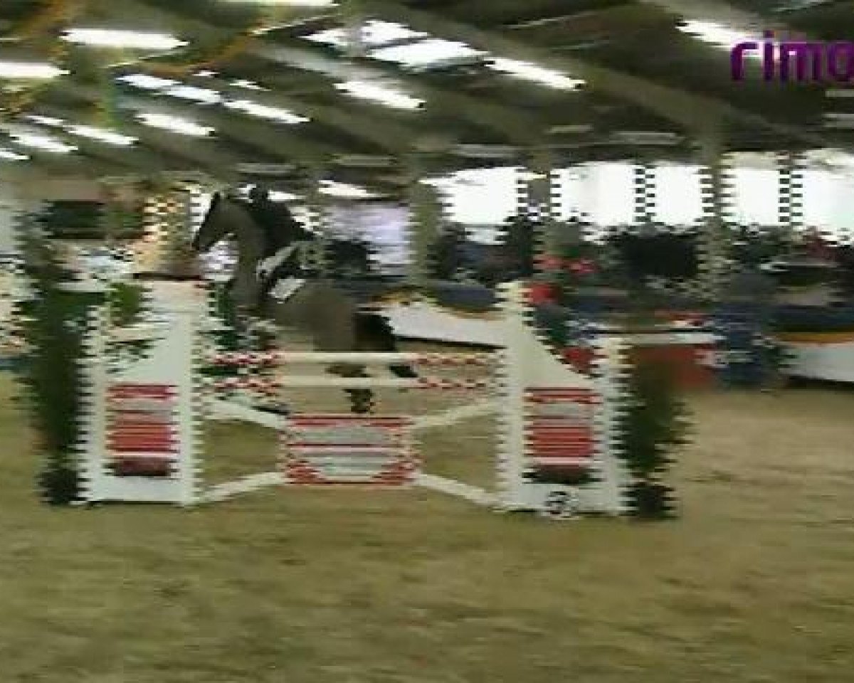 jumper Wendulan 3 (Hanoverian, 2000, from Werther)