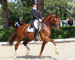 dressage horse Quaterbest ES (Oldenburg, 2012, from Quaterback)