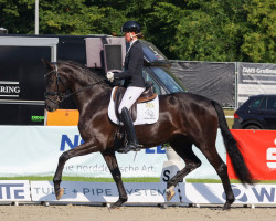 dressage horse Orinda 3 (Oldenburg, 2018, from Secret)