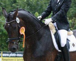 dressage horse Romantic Feeling B (Westphalian, 2006, from Riccio)