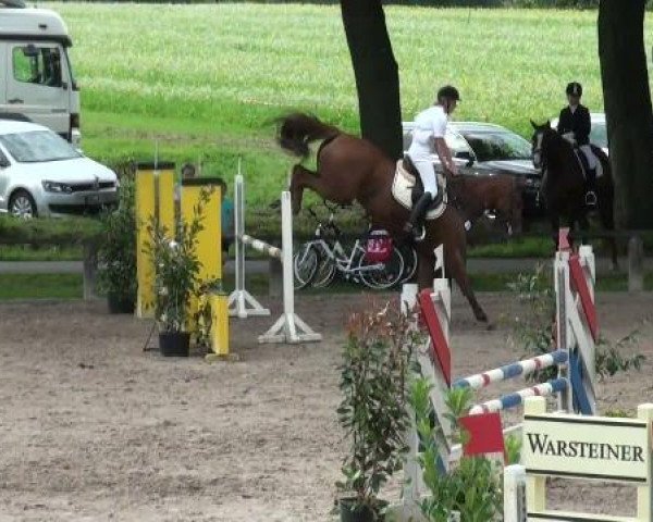 jumper Fuego 104 (Hanoverian, 2005, from For Pleasure)