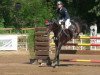 jumper Fst Livius (German Sport Horse, 2006, from Liberty Son)