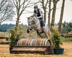 Springpferd Miss Windsor (Deutsches Reitpony, 2016, von Myloo CJ)