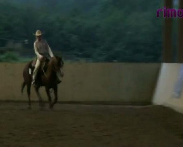 Pferd Sugars Peppy Train 26131 (Quarter Horse,  , von Nics Peppy Train)