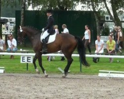 dressage horse Walista (Hanoverian, 2001, from Wolkenstein II)