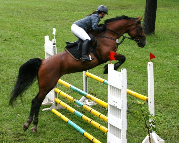 broodmare Restituta (German Sport Horse, 2004, from Ramesside)