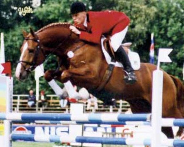 stallion Zapateado 128 FIN (Oldenburg, 1990, from Zeus)