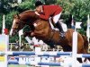 stallion Zapateado 128 FIN (Oldenburg, 1990, from Zeus)