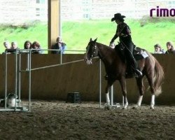 Pferd Stars Sprat (Quarter Horse, 2001, von Grays Jay)