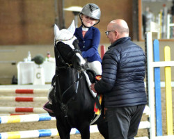 jumper Mario 133 (Welsh-Pony (Section B), 2010, from Oleandro)