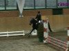 jumper Polly 330 (German Riding Pony, 2003, from Piccolo)