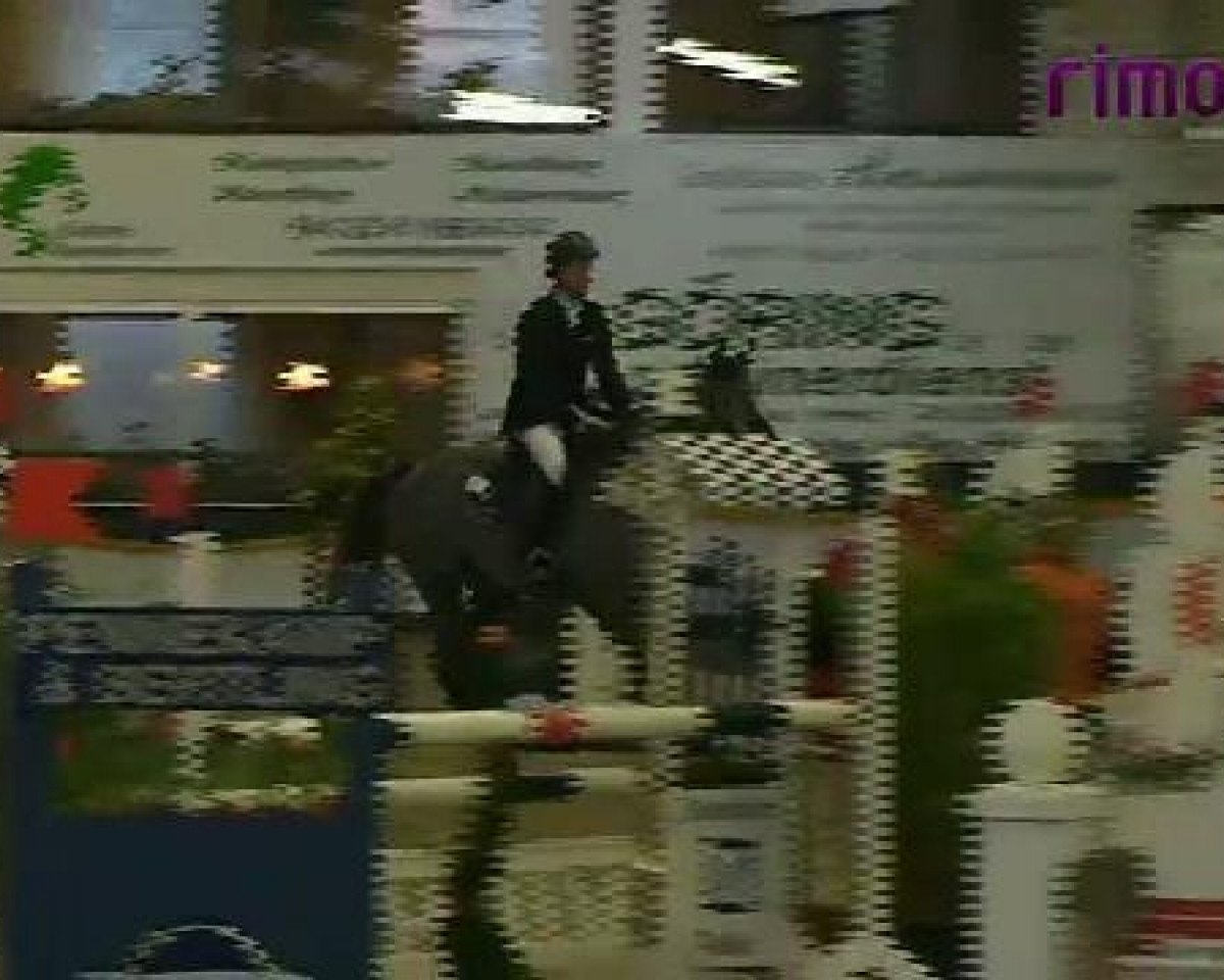 jumper Clearday 2 (Holsteiner, 2006, from Clearway)