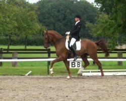 dressage horse Fürst Paul (Westphalian, 2004, from Fürst Piccolo)