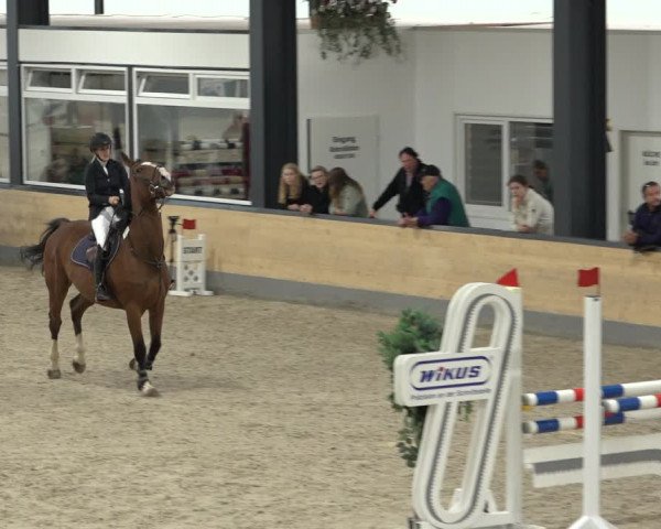 Reitturnier Borken 2022