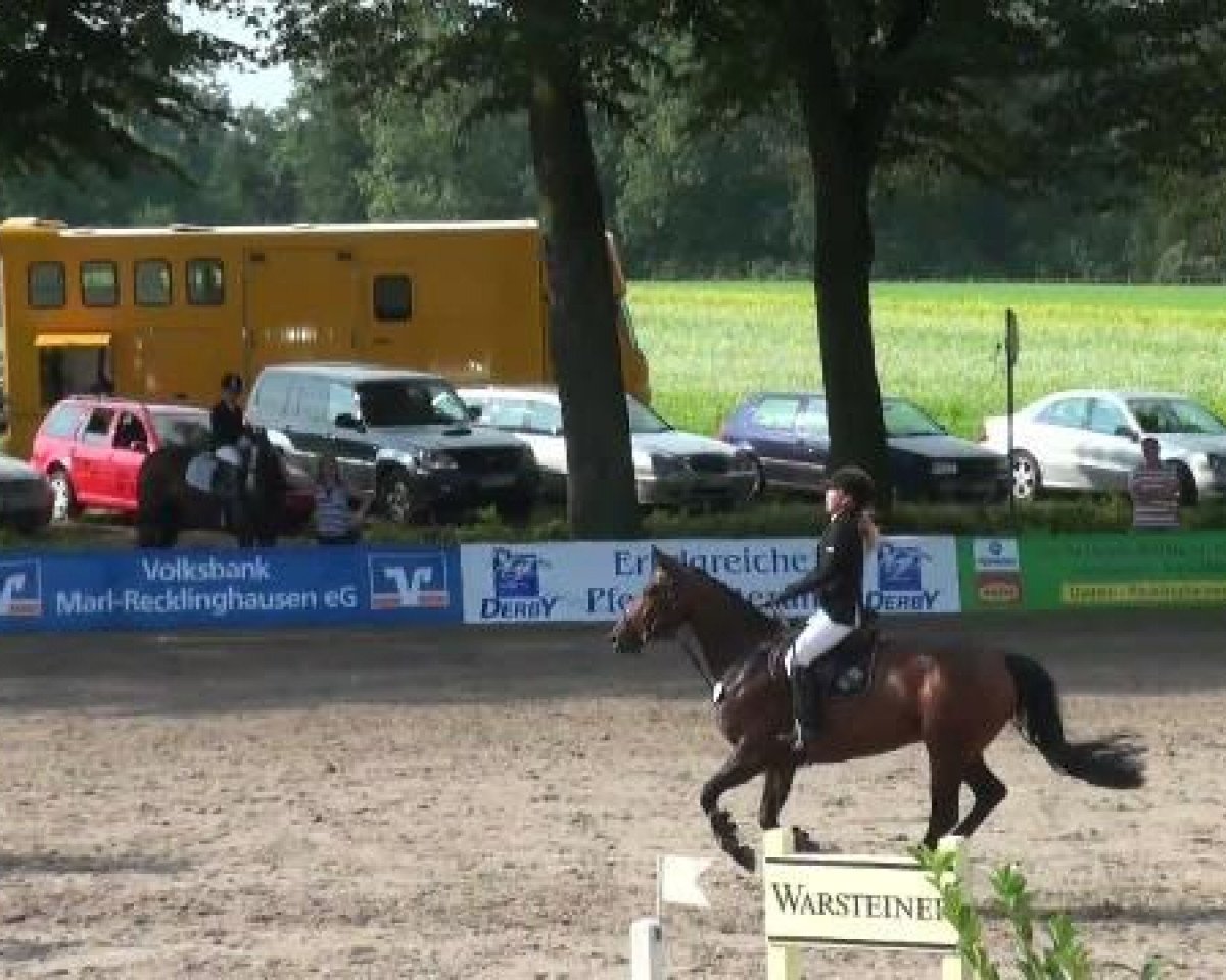 dressage horse Lotta (unknown,  )