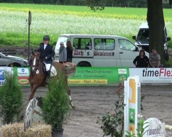 jumper Top Alice 2 (Welsh-Pony (Section B), 1998, from Flora's Hof Magic)