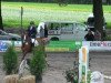 jumper Top Alice 2 (Welsh-Pony (Section B), 1998, from Flora's Hof Magic 6 WPB)