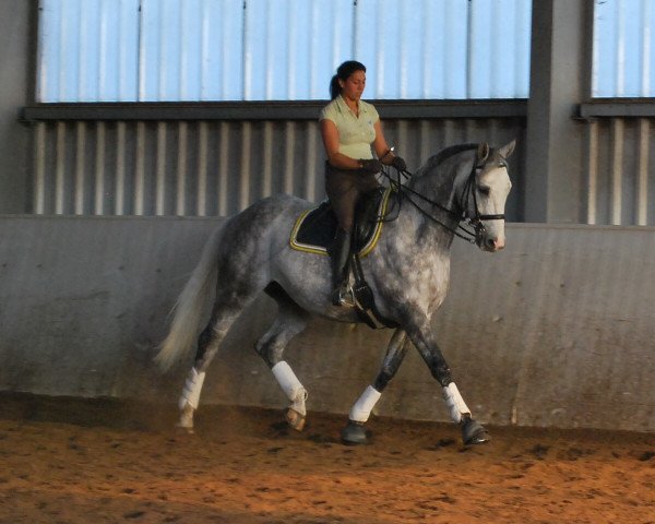 horse Energy of Life 3 (Rhinelander, 2004, from Enim Pascha)