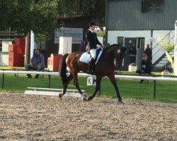 dressage horse Cime du Cheiron (Westphalian, 2000, from Charisma)