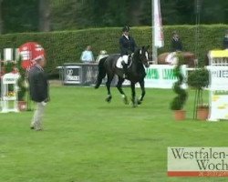 jumper Savona 2 (Hanoverian, 2005, from Stolzenberg)