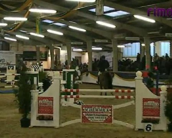jumper Conde 30 (Holsteiner, 2003, from Calido I)
