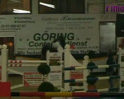 jumper Valuga (Holsteiner, 2005, from Calato)