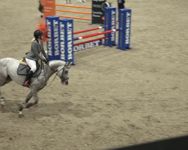 Reitturnier Borken 2022